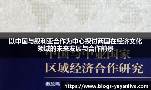 以中国与叙利亚合作为中心探讨两国在经济文化领域的未来发展与合作前景