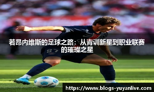 若昂内维斯的足球之路：从青训新星到职业联赛的璀璨之星