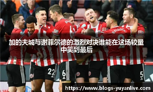 加的夫城与谢菲尔德的激烈对决谁能在这场较量中笑到最后