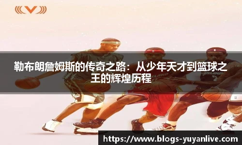 雨燕高清直播