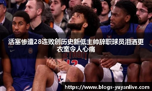 雨燕体育
